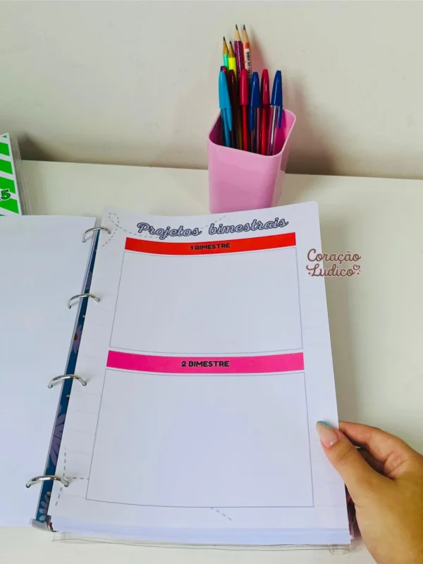 Planner do(a) Diretor(a) - Imagem 4