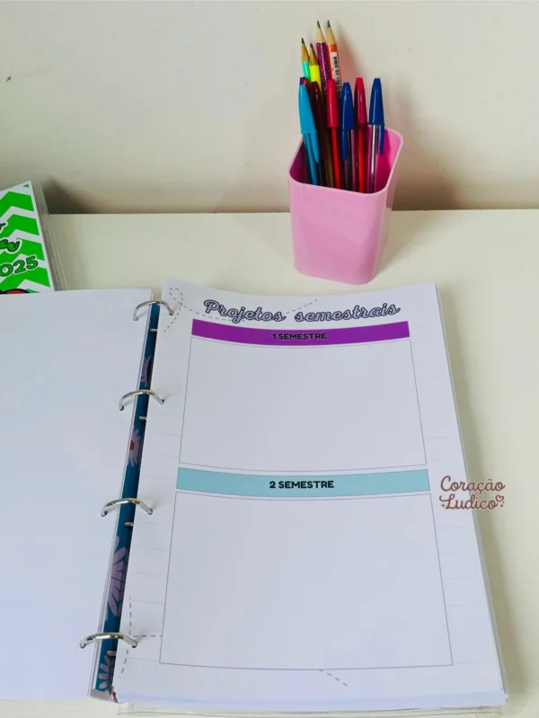 Planner do(a) Diretor(a) - Imagem 20