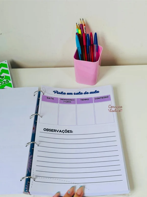 Planner do(a) Diretor(a) - Imagem 23