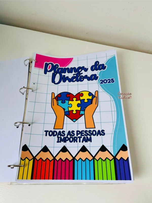 Planner do(a) Diretor(a) - Imagem 28