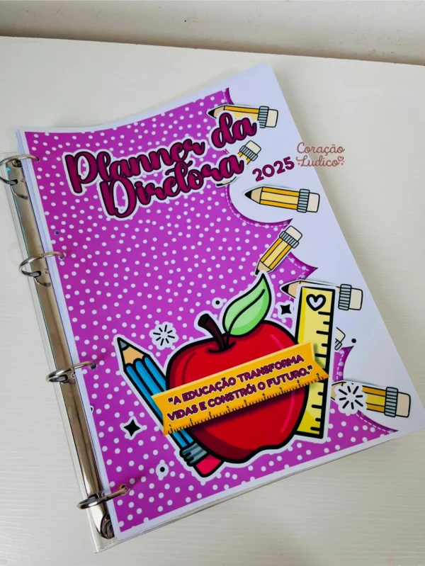 Planner do(a) Diretor(a) - Imagem 29