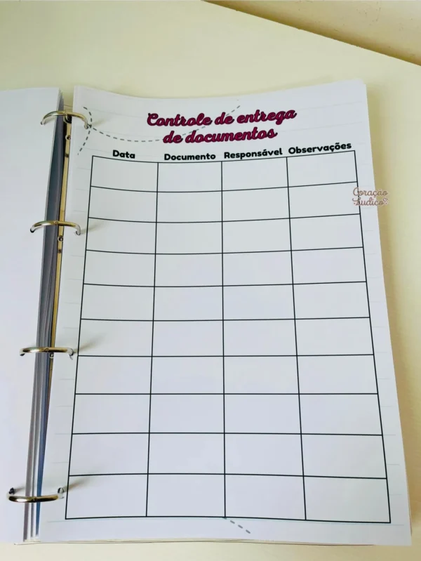 Planner do(a) Diretor(a) - Imagem 35