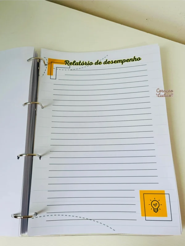 Planner do(a) Diretor(a) - Imagem 9