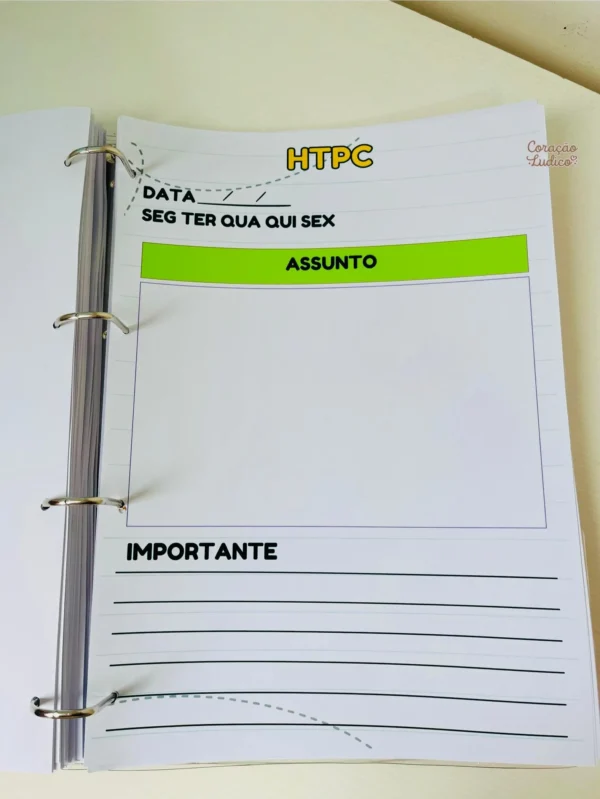Planner do(a) Diretor(a) - Imagem 10