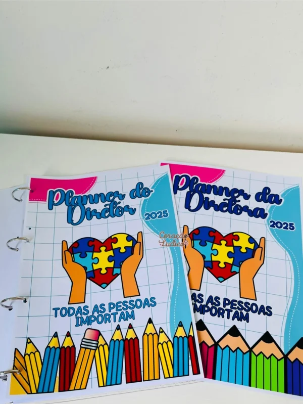 Planner do(a) Diretor(a) - Imagem 11