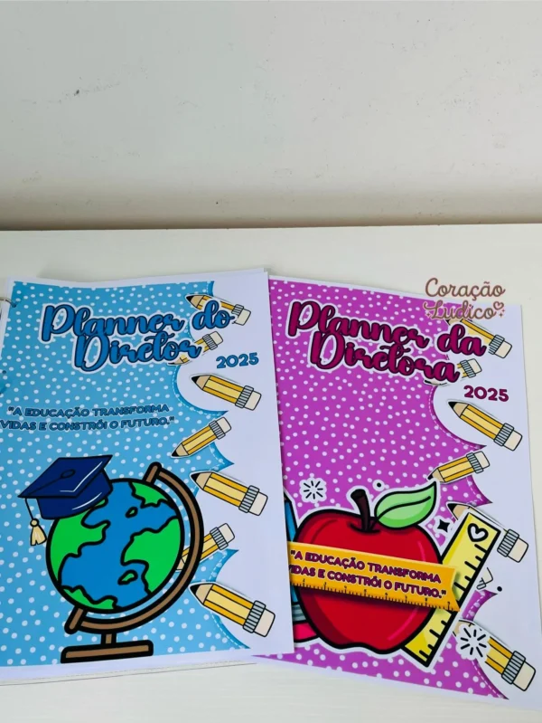 Planner do(a) Diretor(a) - Imagem 12