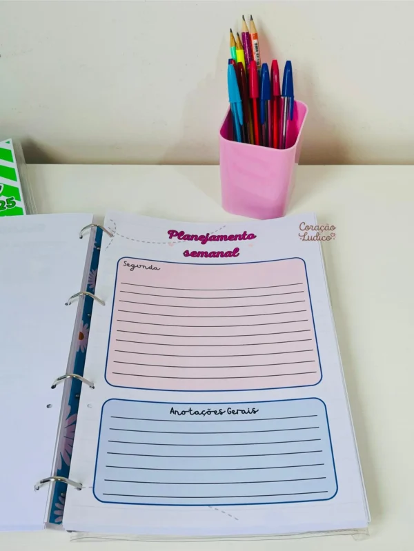 Planner do(a) Diretor(a) - Imagem 15