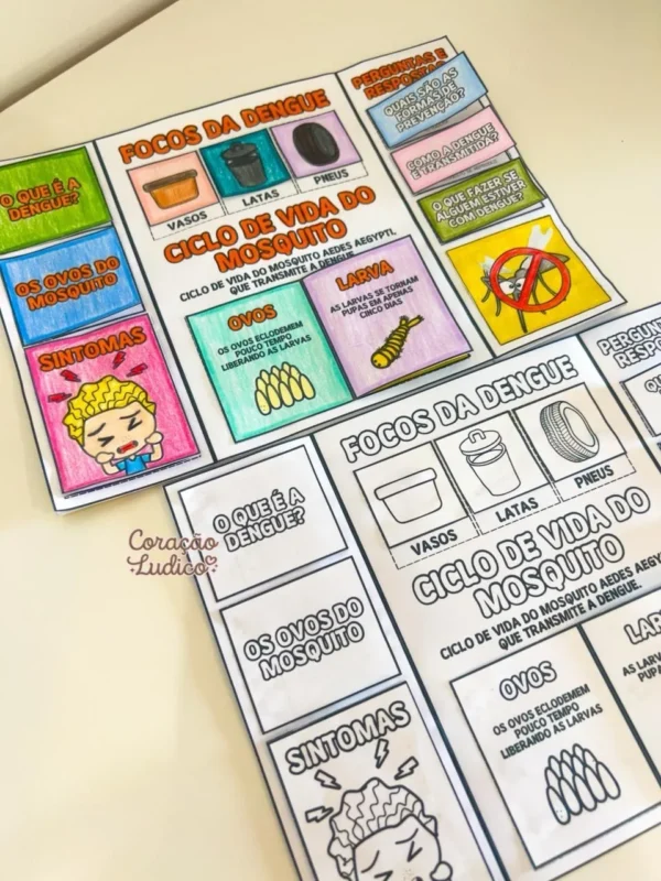 Lapbook da Dengue - Imagem 3
