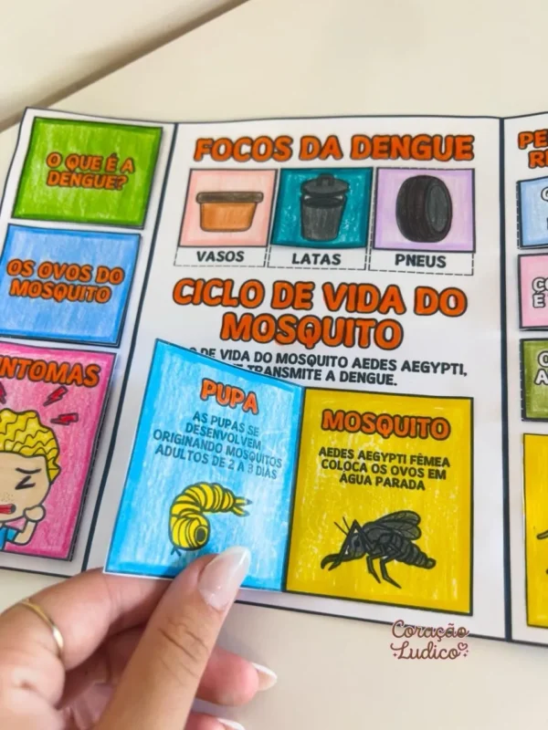 Lapbook da Dengue - Imagem 5