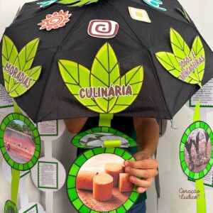 GUARDA-CHUVA – POVOS INDÍGENAS